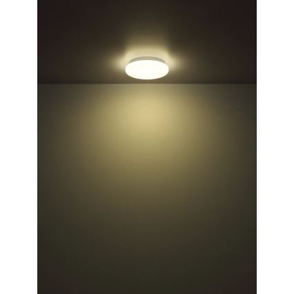 Globo - LED plafondlamp LED/8W/230V 4000K Ø 55 cm