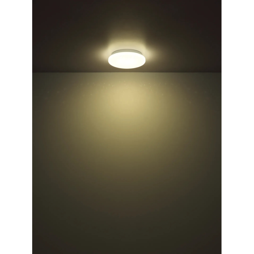 Globo - LED plafondlamp LED/8W/230V 4000K Ø 55 cm