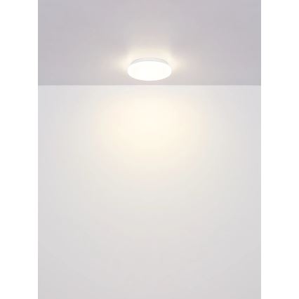 Globo - LED plafondlamp LED/8W/230V 4000K Ø 55 cm