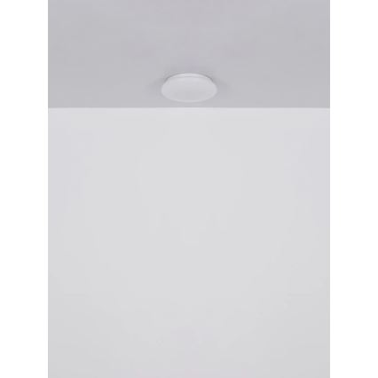 Globo - LED plafondlamp LED/8W/230V 4000K Ø 55 cm