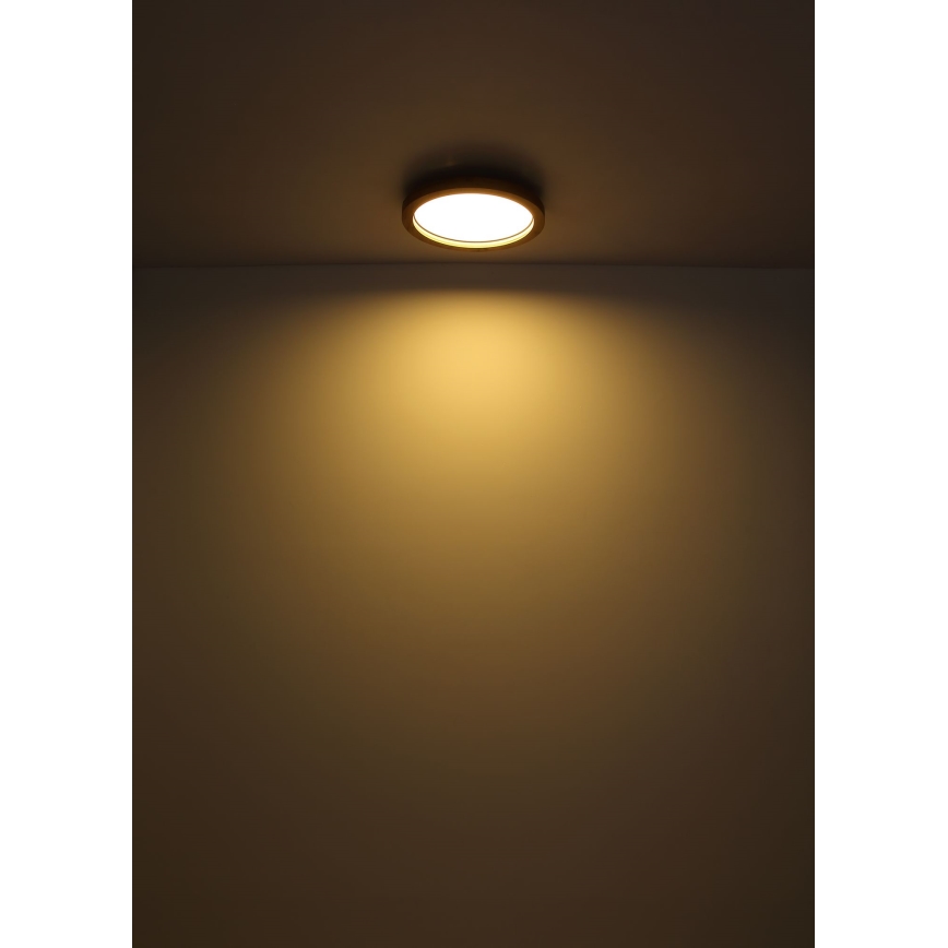 Globo - LED RGBW Dimbare plafondlamp LED/24W/230V 2700-6000K + afstandsbediening