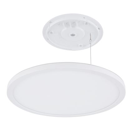 Globo - LED Dimbare badkamer plafondverlichting LED/18W/230V diameter 29,4 cm IP44 wit