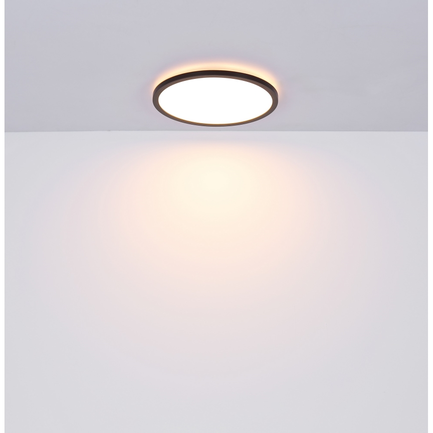 Globo - LED Dimbare badkamer plafondverlichting LED/24W/230V diameter 42 cm IP44 zwart