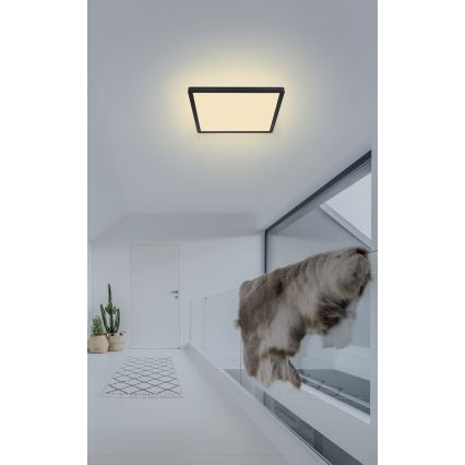 Globo - LED Dimbare badkamer plafondverlichting LED/18W/230V 29,4x29,4 cm IP44 zwart