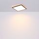 Globo - LED Dimbare badkamer plafondverlichting LED/24W/230V 42x42 cm IP44 zwart
