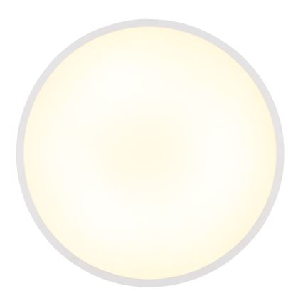 Globo - LED plafondlamp LED/32W/230V 4000K diameter 40 cm wit