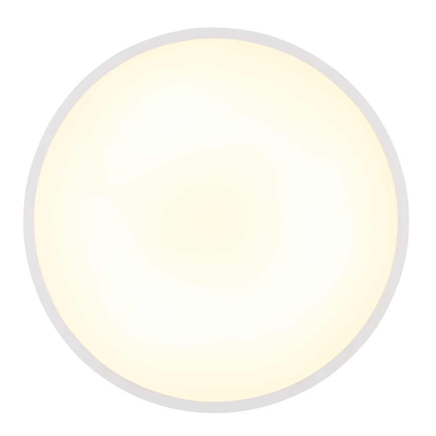 Globo - LED plafondlamp LED/32W/230V 4000K diameter 40 cm wit