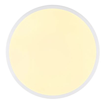 Globo - LED plafondlamp LED/18W/230V 3000K diameter 35 cm wit