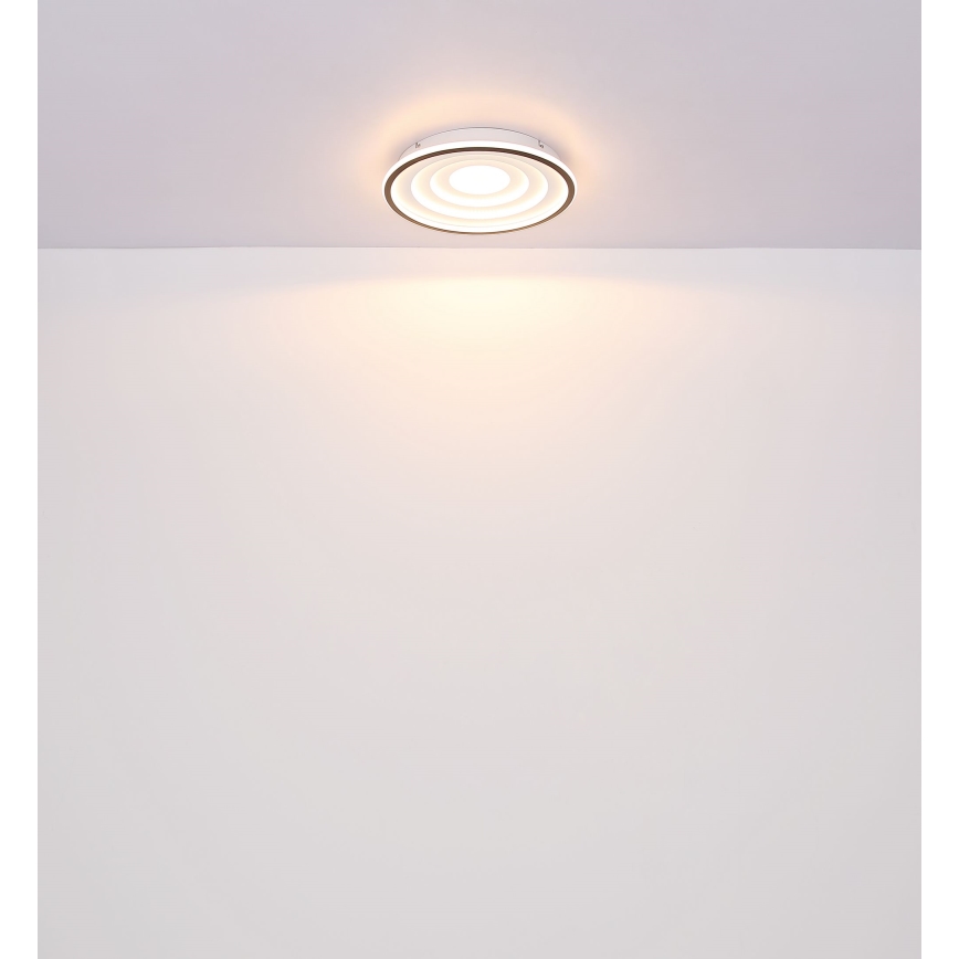 Globo - LED Plafondlamp LED/24W/230V