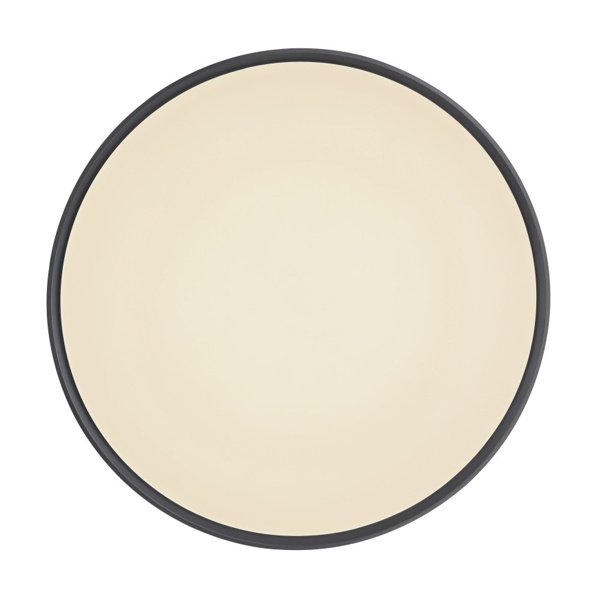 Globo - Dimbare LED plafondlamp LED/24W/230V + afstandsbediening