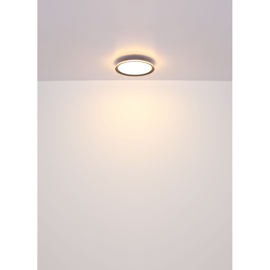 Globo - LED Plafondlamp LED/39W/230V diameter 40 cm