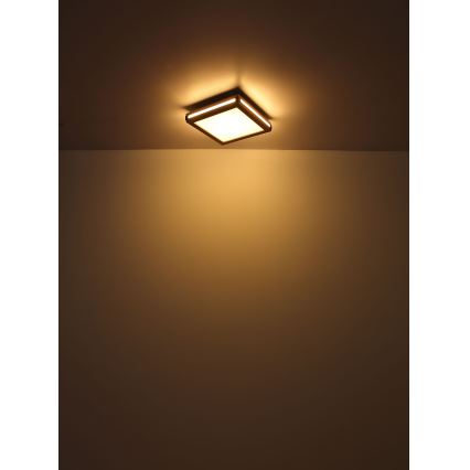 Globo - LED Plafondlamp LED/24W/230V 45x45 cm