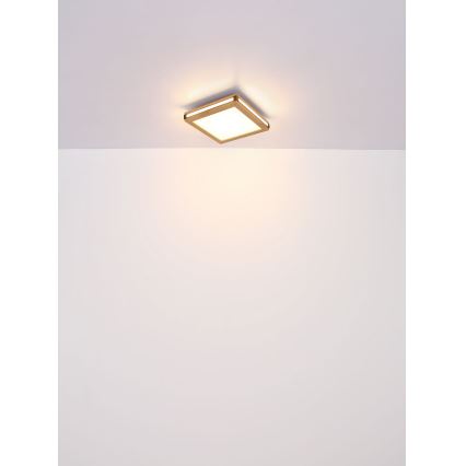 Globo - LED Plafondlamp LED/24W/230V 45x45 cm