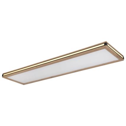 Globo - Dimbare LED plafondlamp LED/36W/230V 3000K 30x120 cm
