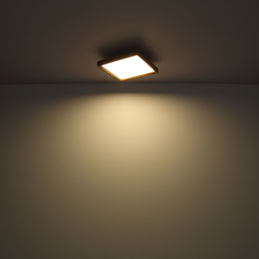 Globo - LED Plafondlamp LED/24W/230V 45cm 2700/4500/6500K