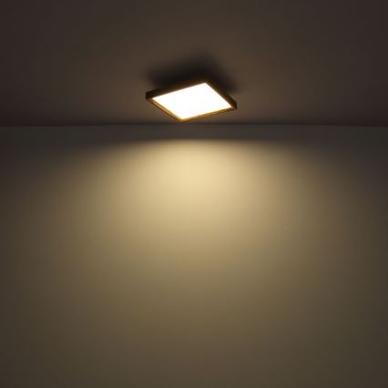 Globo - LED Plafondlamp LED/36W/230V 2700/4500/6500K 60x60 cm