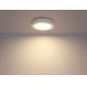 Globo - LED Badkamer plafondlamp 1xLED/12W/230V