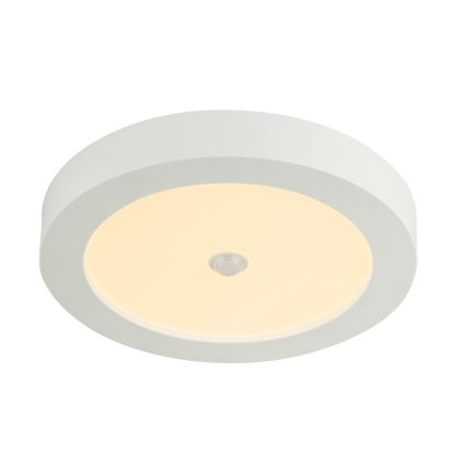 Globo - LED plafondlamp voor buiten met sensor LED/18W/230V IP44