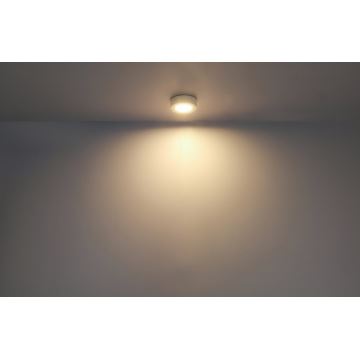 GLOBO - LED Plafondlamp LED/6W/230V
