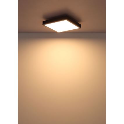 Globo - LED plafondlamp LED/12W/230V 3000K 30x30 cm