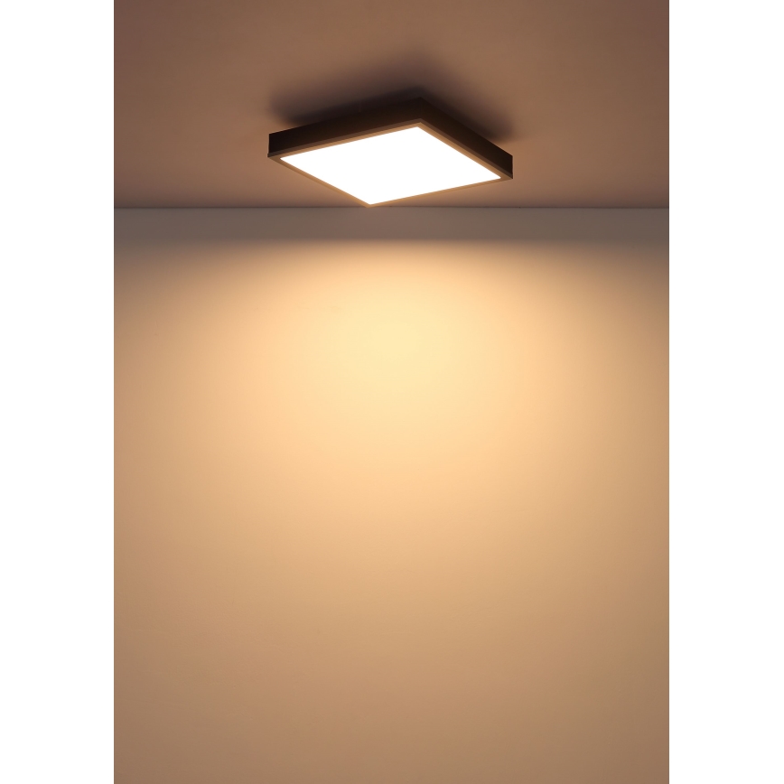 Globo - LED plafondlamp LED/12W/230V 3000K 30x30 cm