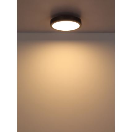 Globo - LED plafondlamp LED/12W/230V 3000K diameter 30 cm