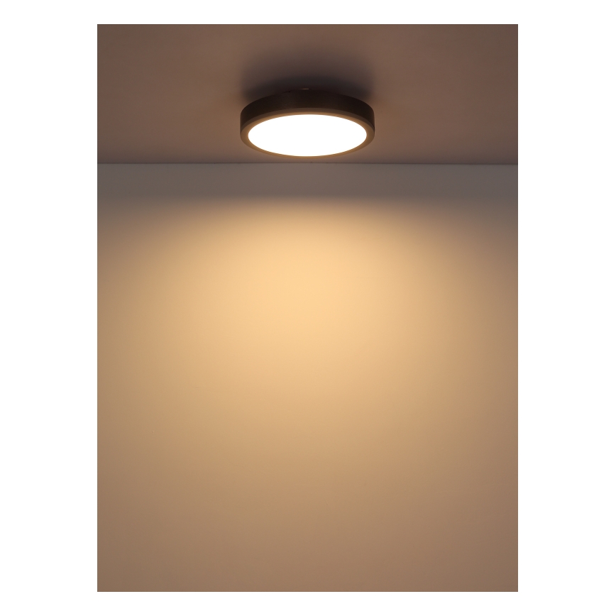 Globo - LED plafondlamp LED/12W/230V 3000K diameter 30 cm