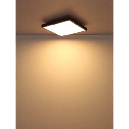 Globo - LED plafondlamp LED/24W/230V 3000K 45x45 cm