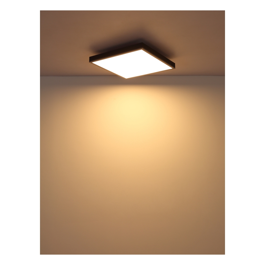 Globo - LED plafondlamp LED/24W/230V 3000K 45x45 cm