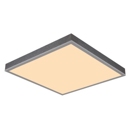 Globo - LED plafondlamp LED/24W/230V 3000K 45x45 cm