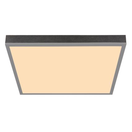 Globo - LED plafondlamp LED/24W/230V 3000K 45x45 cm