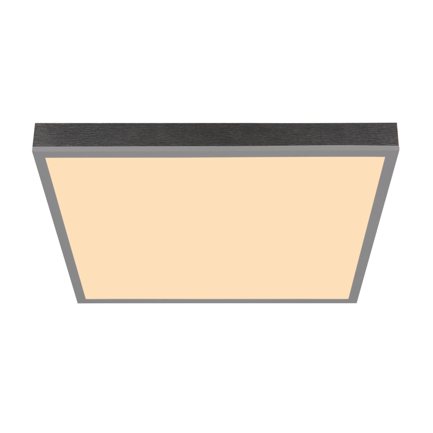 Globo - LED plafondlamp LED/24W/230V 3000K 45x45 cm