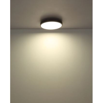 Globo - Dimbare LED-plafondlamp 24W/230V 2700-6500K Ø 45 cm + afstandsbediening
