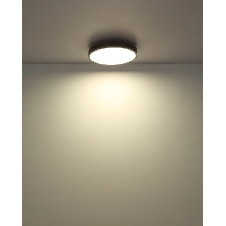 Globo - Dimbare LED-plafondlamp 24W/230V 2700-6500K Ø 45 cm + afstandsbediening