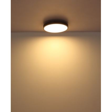 Globo - LED plafondlamp LED/24W/230V 3000K diameter 45 cm