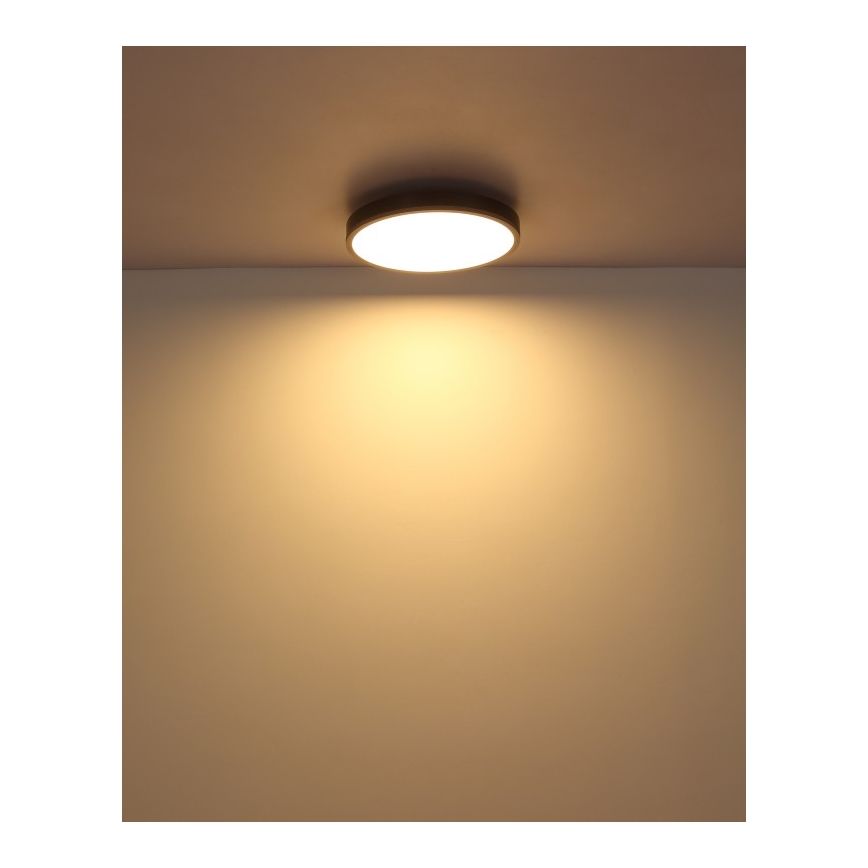 Globo - LED plafondlamp LED/24W/230V 3000K diameter 45 cm