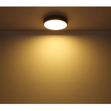Globo - LED Plafondlamp LED/12W/230V d. 30 cm