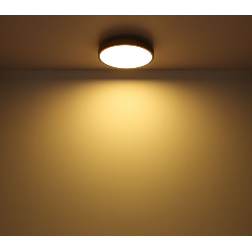 Globo - LED Plafondlamp LED/12W/230V d. 30 cm