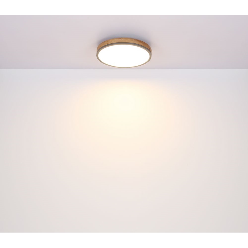 Globo - LED Plafondlamp LED/12W/230V d. 30 cm