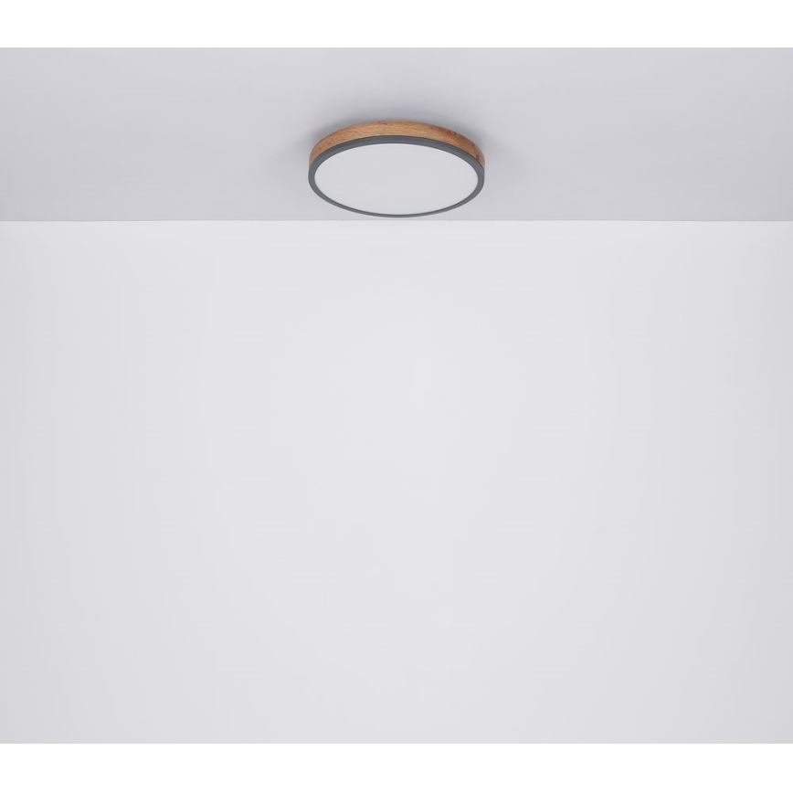 Globo - LED Plafondlamp LED/12W/230V d. 30 cm