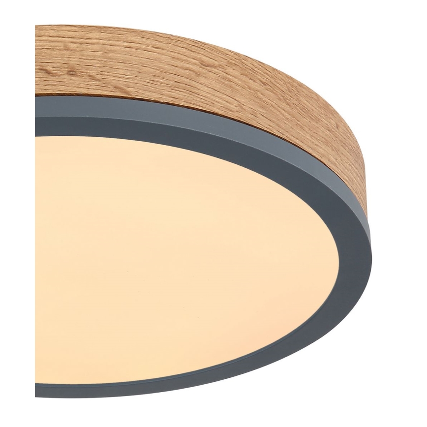 Globo - LED Plafondlamp LED/12W/230V d. 30 cm