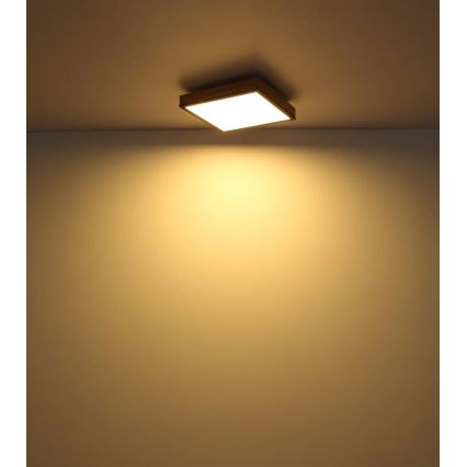 Globo - Dimbare LED-plafondlamp LED/24W/230V 3000-6500K 45x45 cm