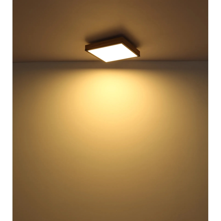 Globo - Dimbare LED-plafondlamp LED/24W/230V 3000-6500K 45x45 cm