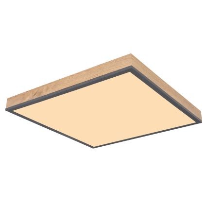 Globo - Dimbare LED-plafondlamp LED/24W/230V 3000-6500K 45x45 cm