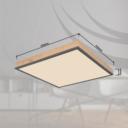 Globo - Dimbare LED-plafondlamp LED/24W/230V 3000-6500K 45x45 cm