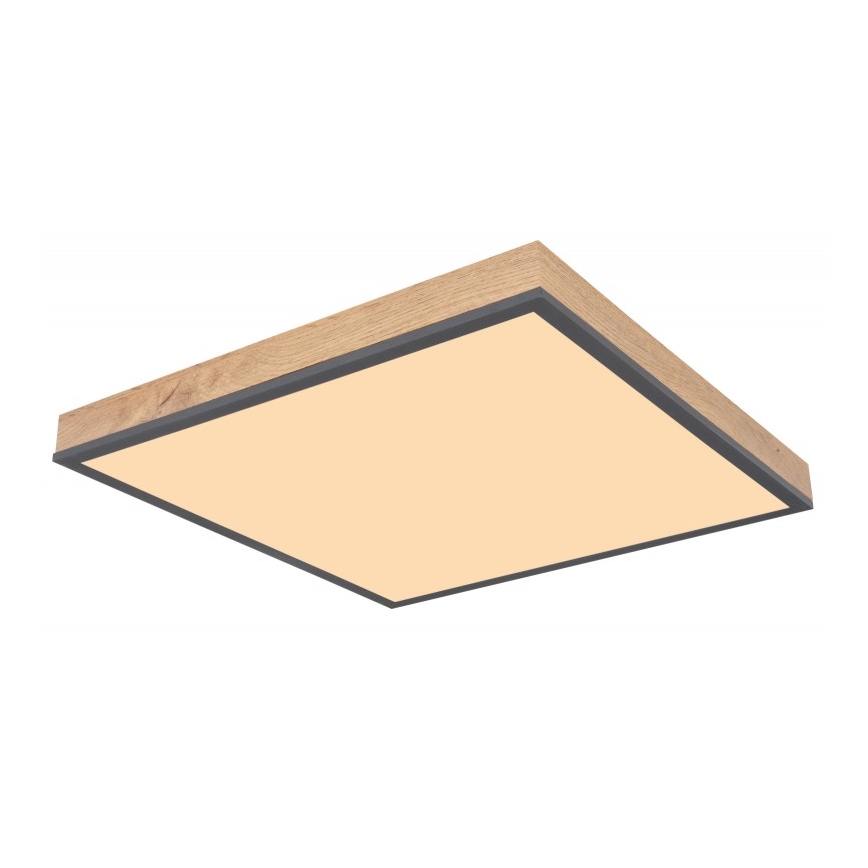 Globo - LED Plafond Lamp LED/24W/230V