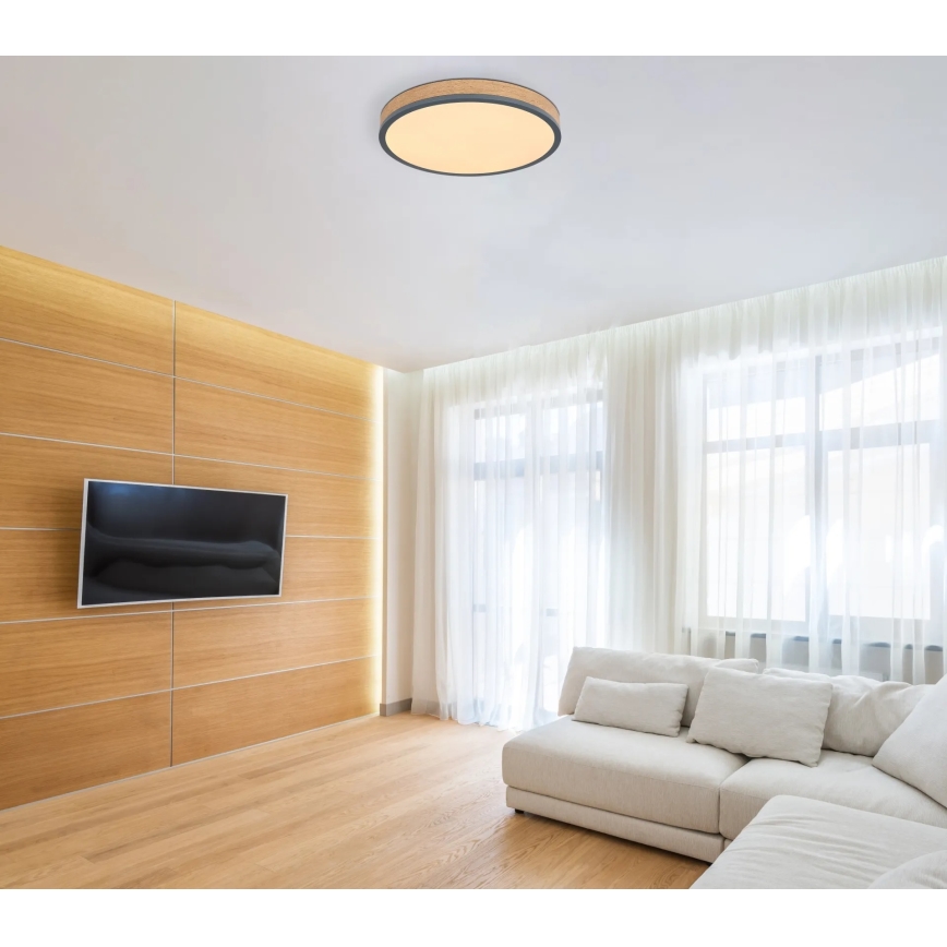 Globo - Dimbare LED-plafondlamp LED/24W/230V 2700-6500K Ø 45 cm