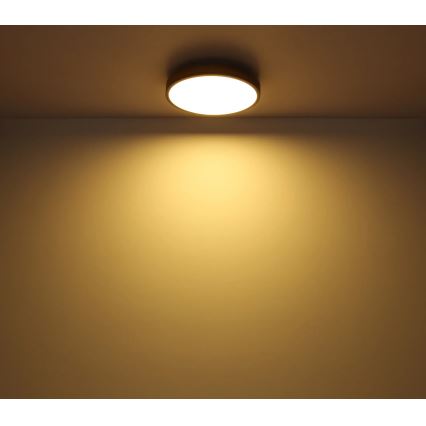Globo - Dimbare LED-plafondlamp LED/24W/230V 3000-6500K Ø 45 cm