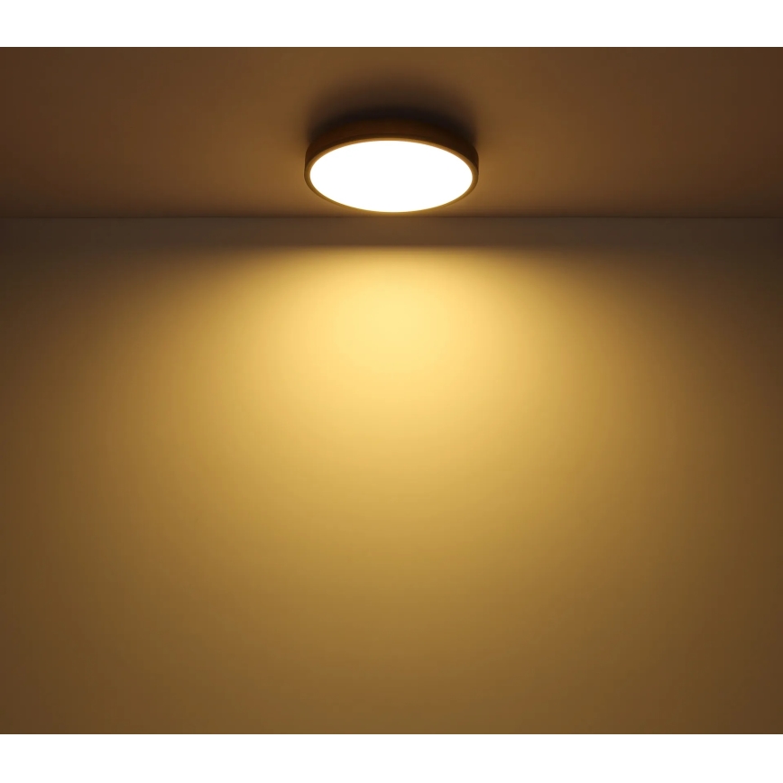 Globo - Dimbare LED-plafondlamp LED/24W/230V 3000-6500K Ø 45 cm