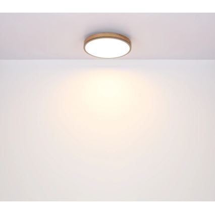 Globo - Dimbare LED-plafondlamp LED/24W/230V 3000-6500K Ø 45 cm